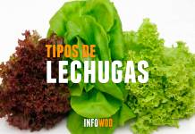 Tipos de lechugas y sus beneficios tipos-lechugas-ensalada-beneficios-calorías-iceberg-infowod